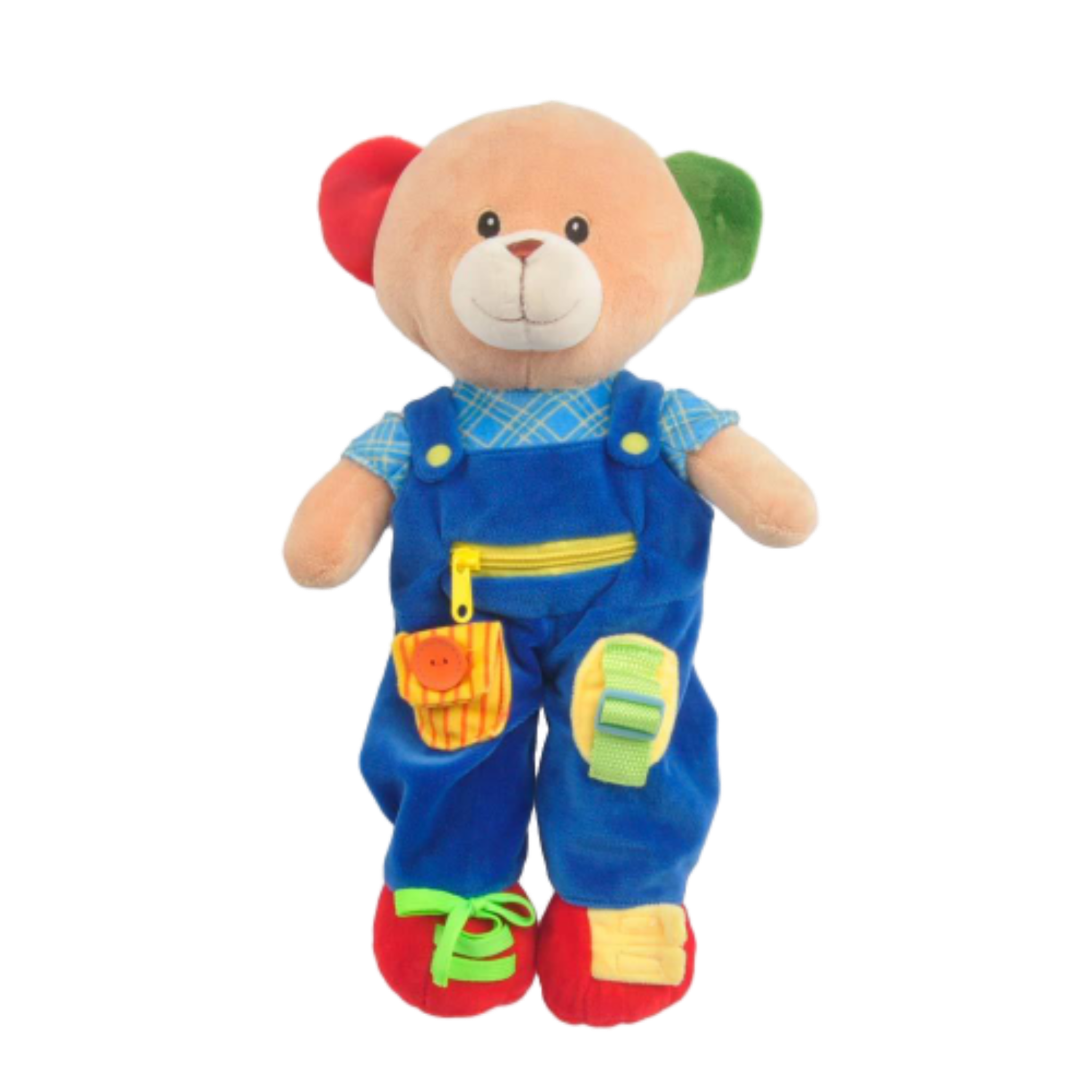 16" Educational Plush Bear (12431)