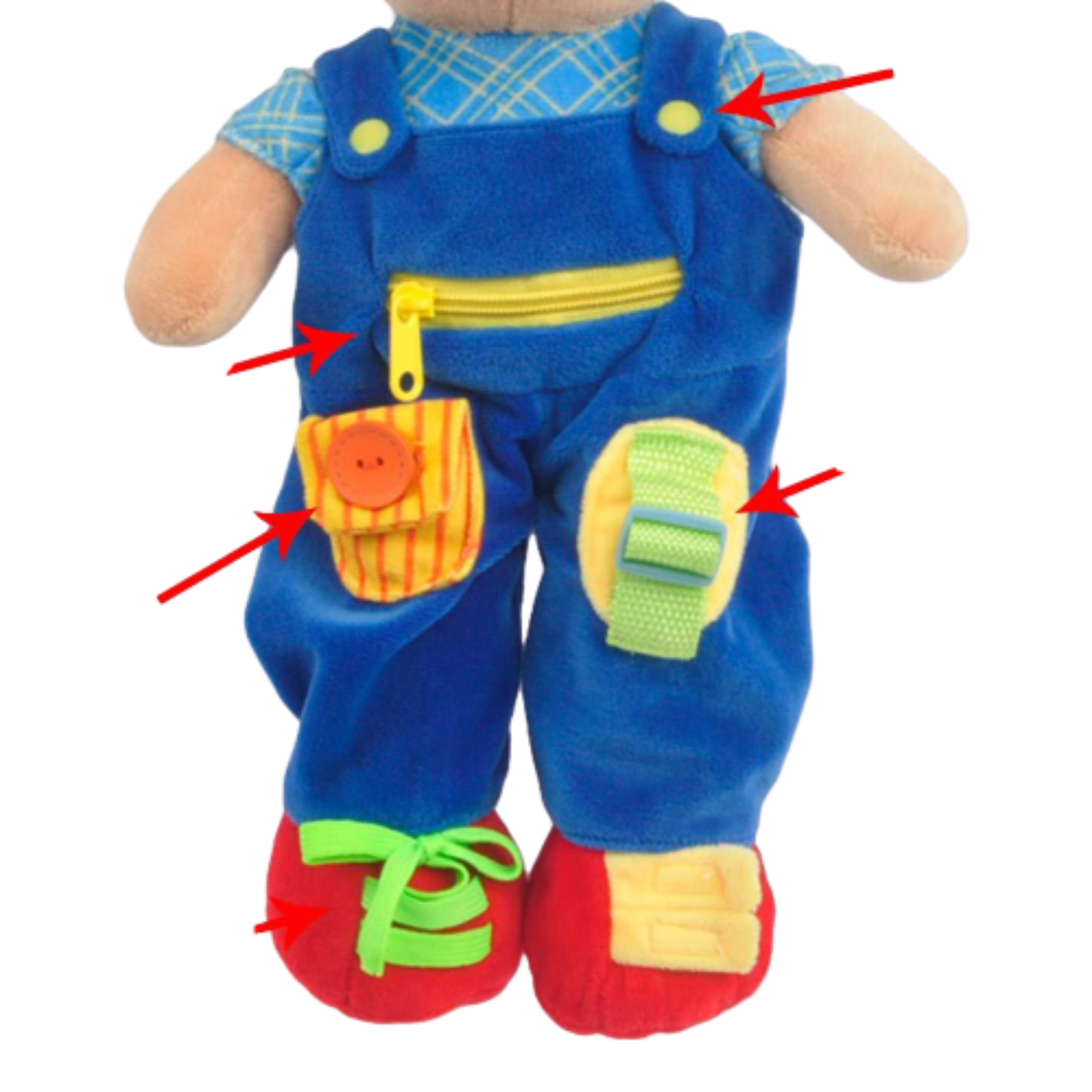 16" Educational Plush Bear (12431)