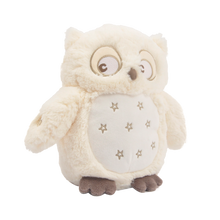 Load image into Gallery viewer, Light up owl for kids, musical owl linzy toys