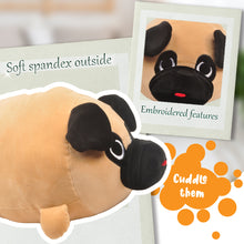 Load image into Gallery viewer, 15&quot; Smoochy Pals Pug Plush Pillow (68236K)